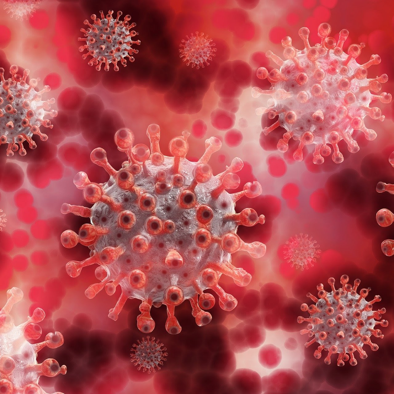 Corona-Virus: Dies sind die neuen Regeln